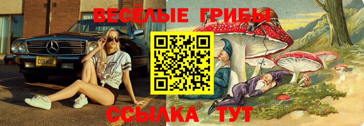 Псилоцибиновые грибы Magic Shrooms  Вход с VPN  Кинель 