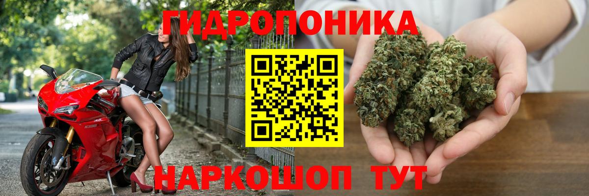 Каннабис индика Кинель